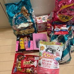 猫フード、おもちゃの画像