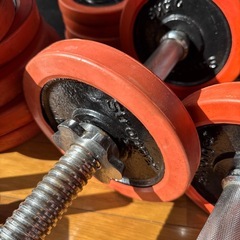 ラバー付きダンベルプレート stronge ダンベル の画像