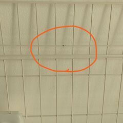 【中古美品】ミニキャットケージ 2段 アイリスオーヤマの画像