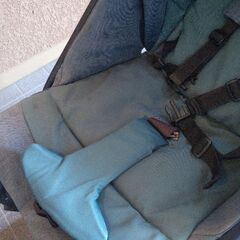 イングリッシーナ B型ベビーカーの画像