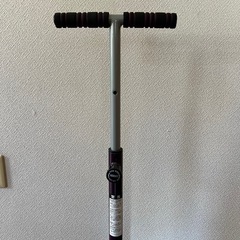 お取引中★
1月8日まで限定★レッグマジックの画像