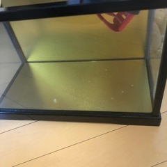 ぬいぐるみ 大量 まとめて 食器 の画像