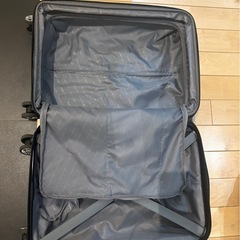 40リットル拡張可能キャリーケースの画像