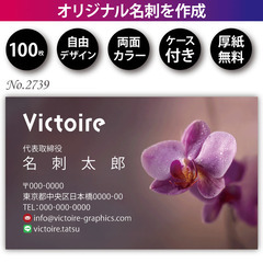 名刺印刷 100枚 両面 フルカラー 紙ケース付 No.2…