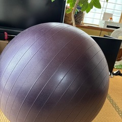 バランスボールの画像