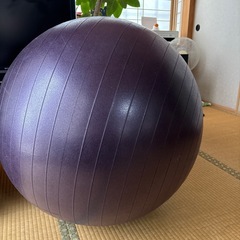バランスボールの画像
