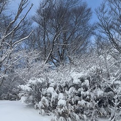 スノーボード　スノボー　メンバー募集　1月7日㈬　めがひらへ行き...