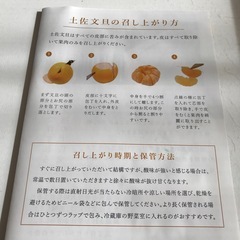 高知の土佐文旦🍊3㎏の画像