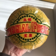 高知の土佐文旦🍊3㎏の画像