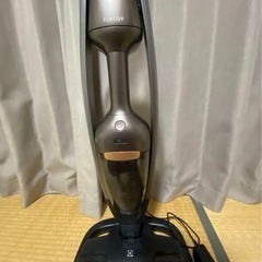 ジャンク　エレクトロラックス　Electrolux スティッククリーナー Pure Q9 掃除機 コードレスの画像