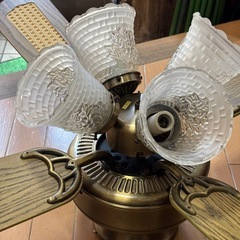 ファン故障のシーリーグファンの画像