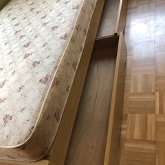 ベット、シングルベット
の画像