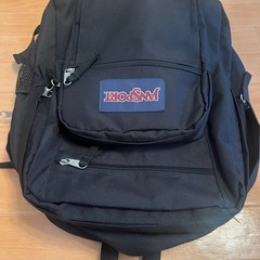 極美品 JANSPORT バックパックの画像