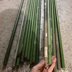 No.1 太　支柱　ガーデニング　家庭菜園の画像