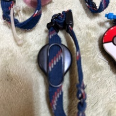 ポケモンゴープラス
の画像