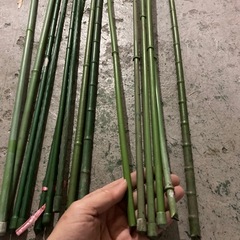 No.2細　支柱　ガーデニング　家庭菜園用の画像