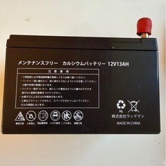 SEAKING   12VDC13AH  メンテナンスフリーカルシウムバッテリー　/電動リール対応
の画像