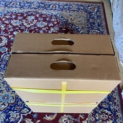 Black Level - inCabin（組み立て式）アリオンゲージ　の画像