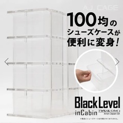 Black Level - inCabin（組み立て式）アリオンゲージ　の画像