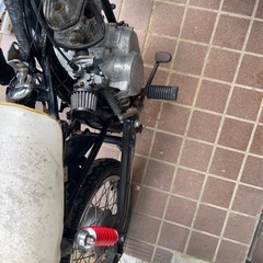 ノーティダックス　cy50の画像