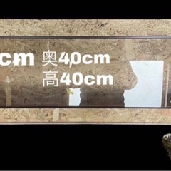 爬虫類ケージ の画像