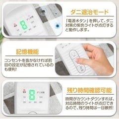 電気毛布 150x130cm ブランケット 速暖 膝掛け 8段階調整 フランネルの画像