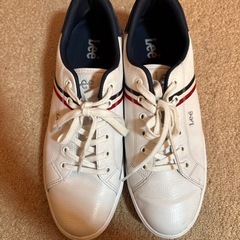 Lee  スニーカー　28.0の画像