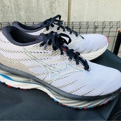 ミズノウェーブライダー26 25センチの画像