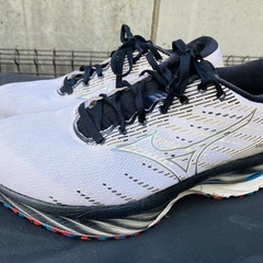 ミズノウェーブライダー26 25センチの画像