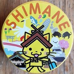 ②ﾏｽｷﾝｸﾞﾃｰﾌﾟの画像