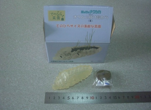 王蟲　ジブリ　手のひら　菜園　熱帯魚　水槽