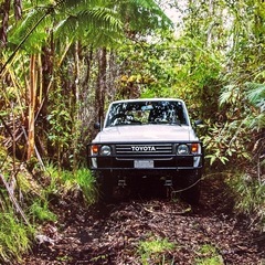ランドクルーザー70周年史の画像