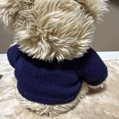 シンガポール航空のテディベアの画像