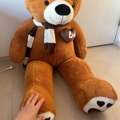 ぬいぐるみの画像