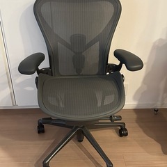 アーロンチェア リマスタード Bサイズ カーボンの画像