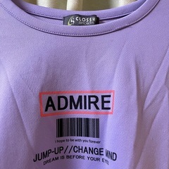 あけおめセール！150 ポリエステルロンTの画像