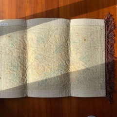 【引渡決定】玄関マット（未使用）の画像