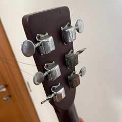 Morris（モーリス）アコースティックギター W-20 Made in Japanの画像