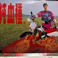 HONDA CRM50/80 カタログの画像