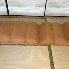 座椅子（アイリスオーヤマ）【引取限定】の画像