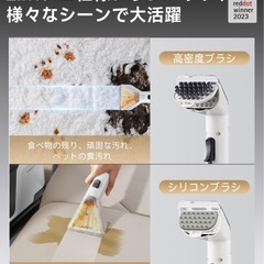 リンサークリーナーの画像