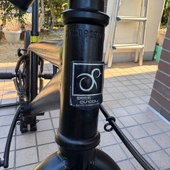 BMX 20インチ 自転車 マットブラック モアノ REIの画像