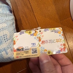 クッションの画像