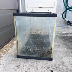 60cm 水槽の画像