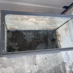 60cm 水槽の画像