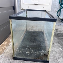 60cm 水槽の画像