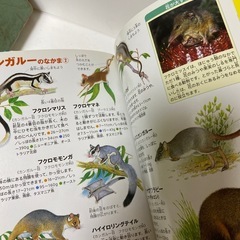 子供の本　絵本　8冊セットの画像