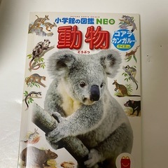 子供の本　絵本　8冊セットの画像