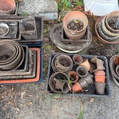 植木鉢（色んな種類大きさ）の画像