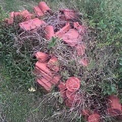 瓦　　沖縄瓦　廃材
の画像